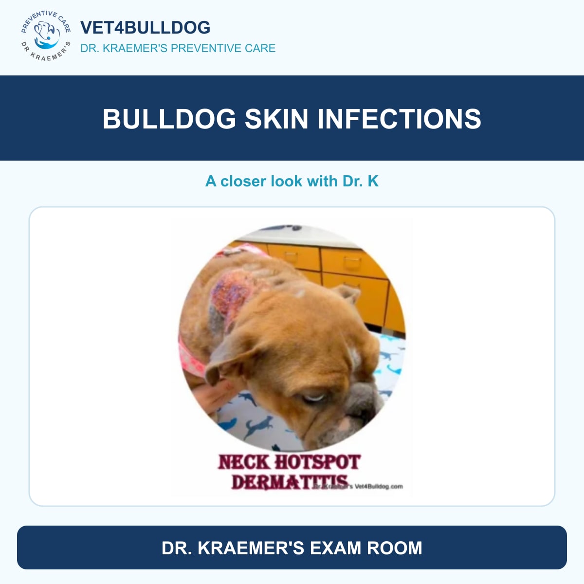 bulldog skin infections guide with original Vet4Bulldog clinical imagery