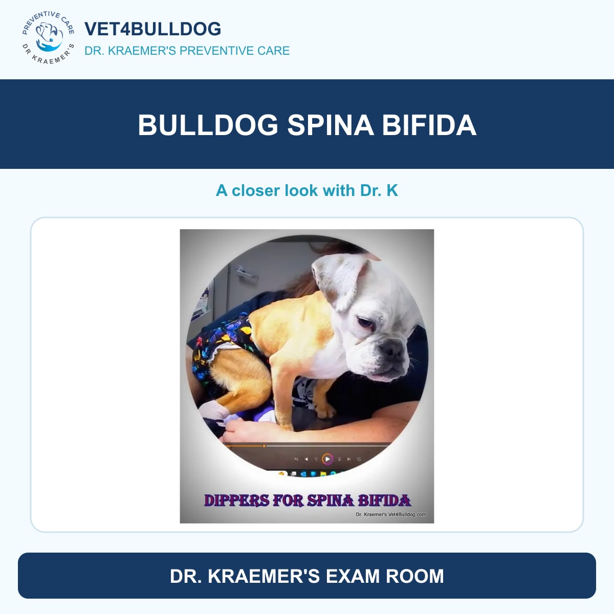 bulldog spina bifida guide with original Vet4Bulldog clinical imagery