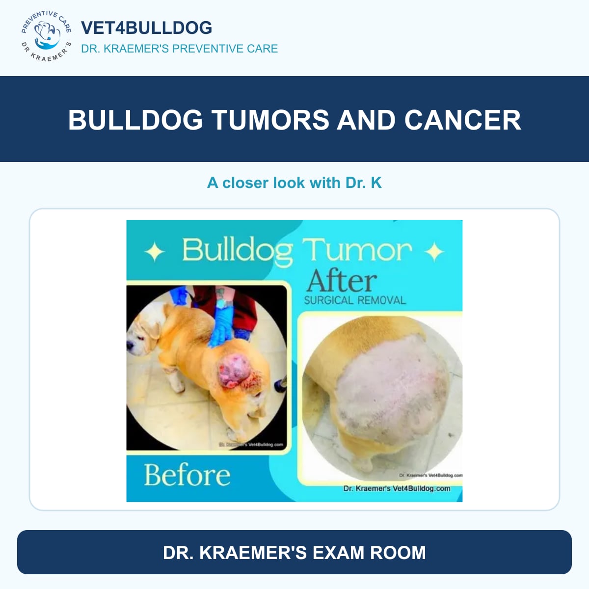 Bulldog tumors and cancer guide with Dr. Kraemer
