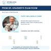 Bully Puppy ULTIMATE Bundle from Dr. Kraemer’s exam room, with original 2026 Vet4Bulldog product photographs