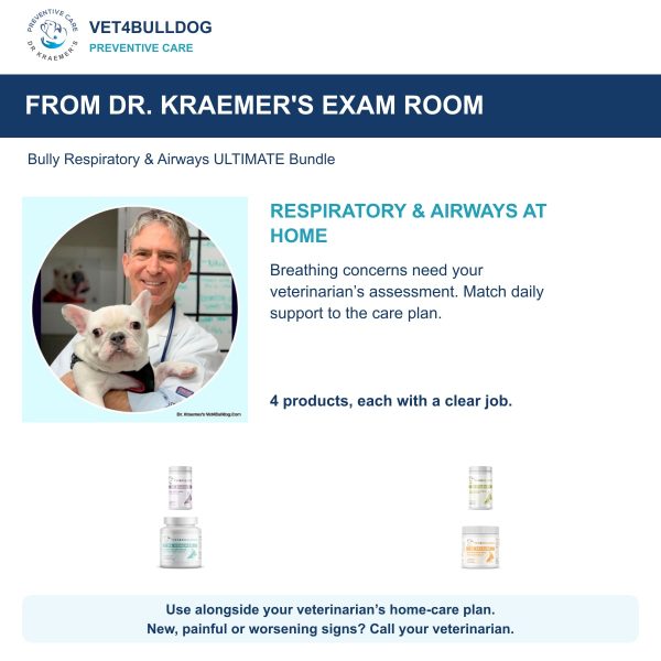 Bully Respiratory & Airways ULTIMATE Bundle: Dr. Kraemer with a French Bulldog and daily care guidance