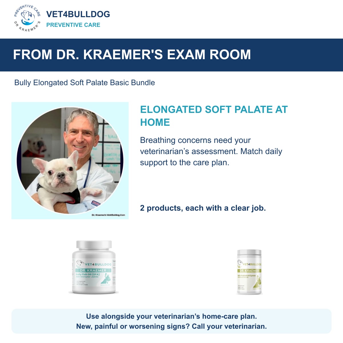 Bully Elongated Soft Palate Basic Bundle: Dr. Kraemer with a French Bulldog and daily care guidance