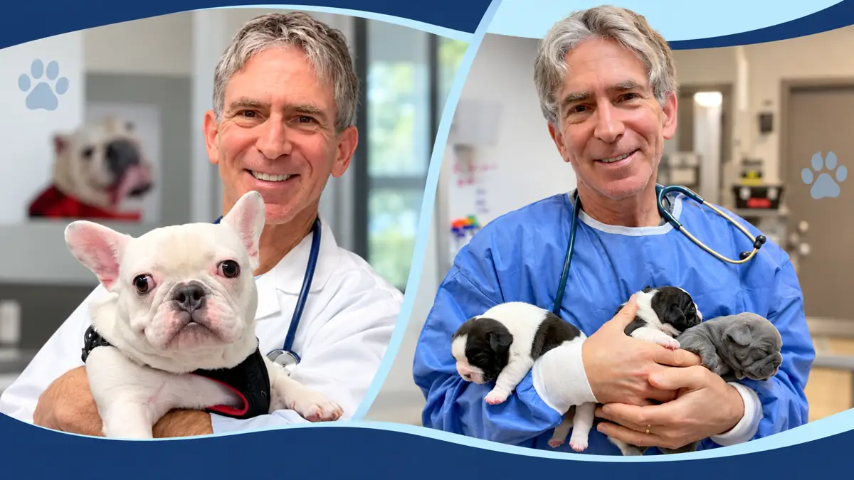 Dr. Roy Kraemer at his clinic with a French Bulldog and newborn Bulldog puppies