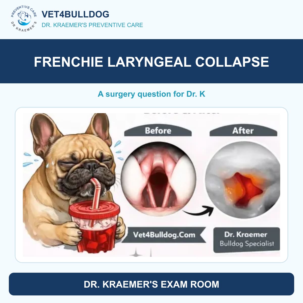 Existing French Bulldog illustration and clinical laryngeal before and after images
