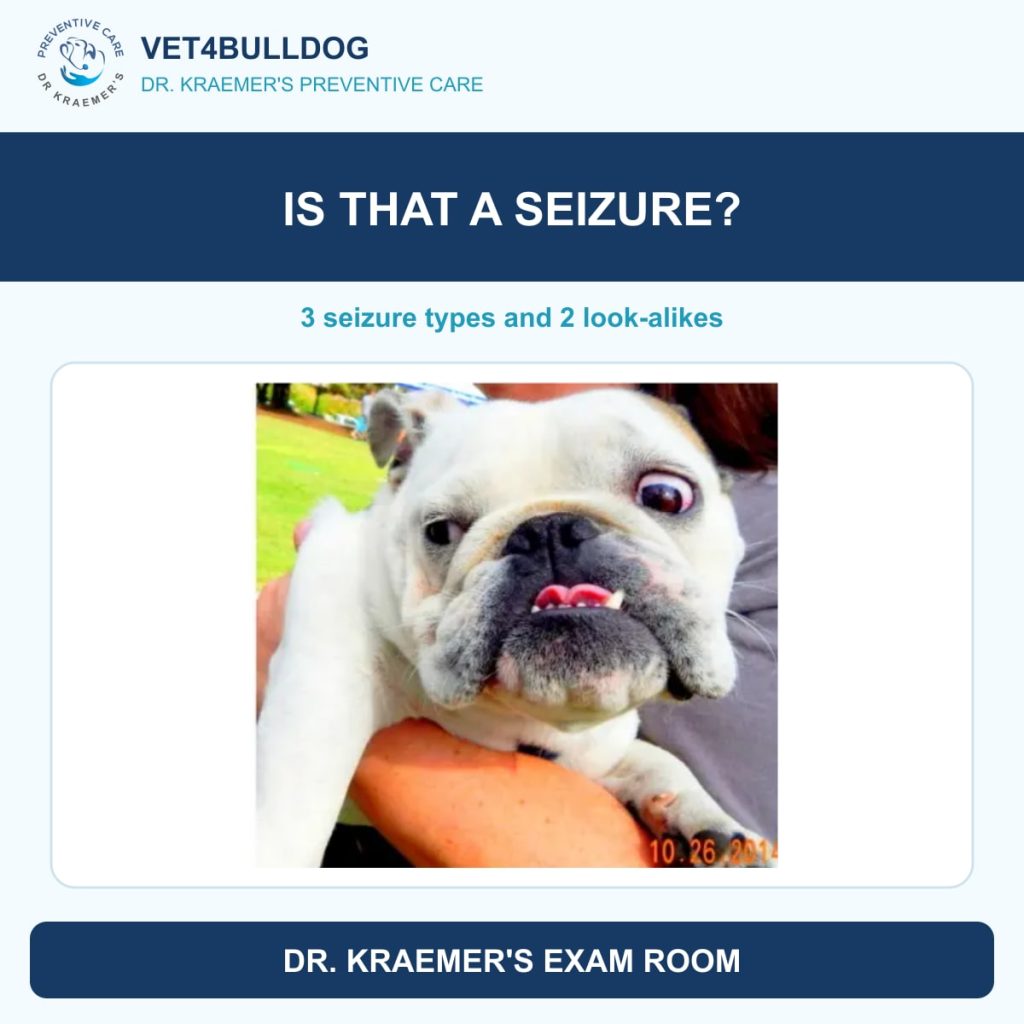 Original Bulldog case photo in Dr. Kraemer’s seizure guide
