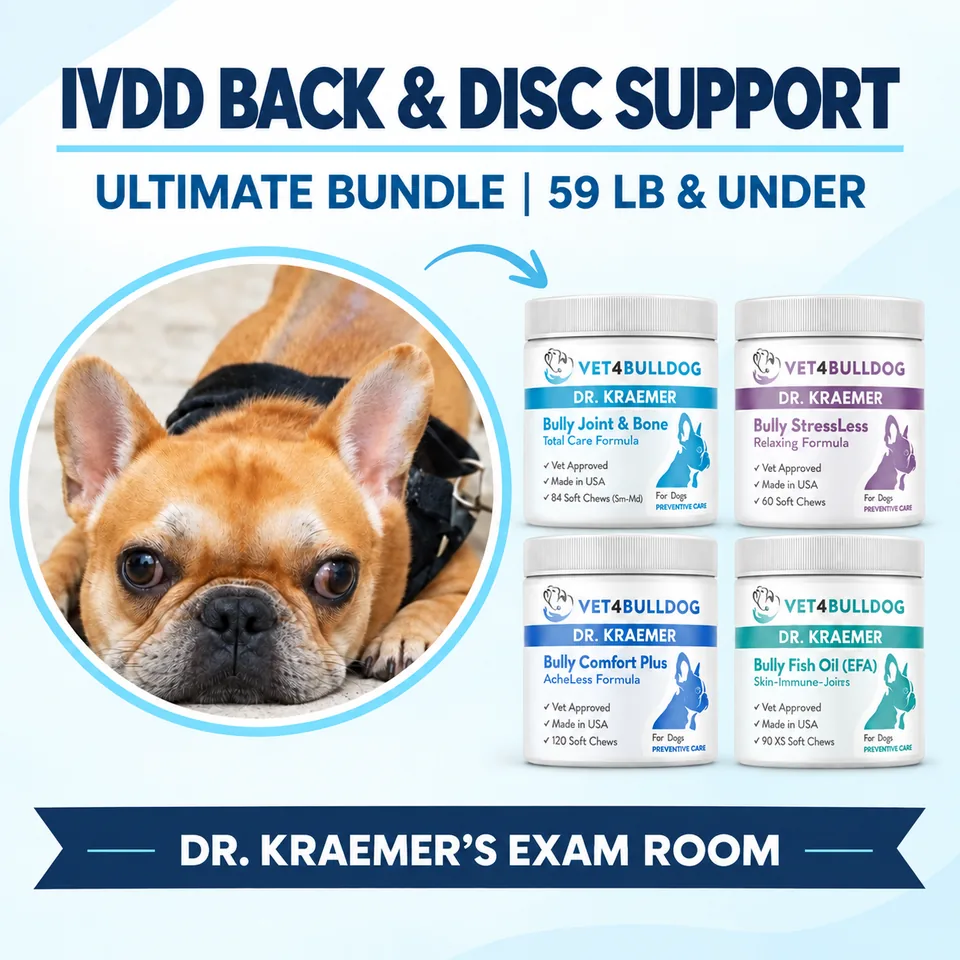 French Bulldog with the four Disc, Back and Nerves Ultimate bundle products for dogs 59 lb and under