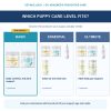 Puppy Basic, Essential and Ultimate bundle comparison with current product photos