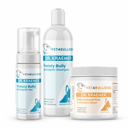 Bully Skin Infection Pyoderma Basic