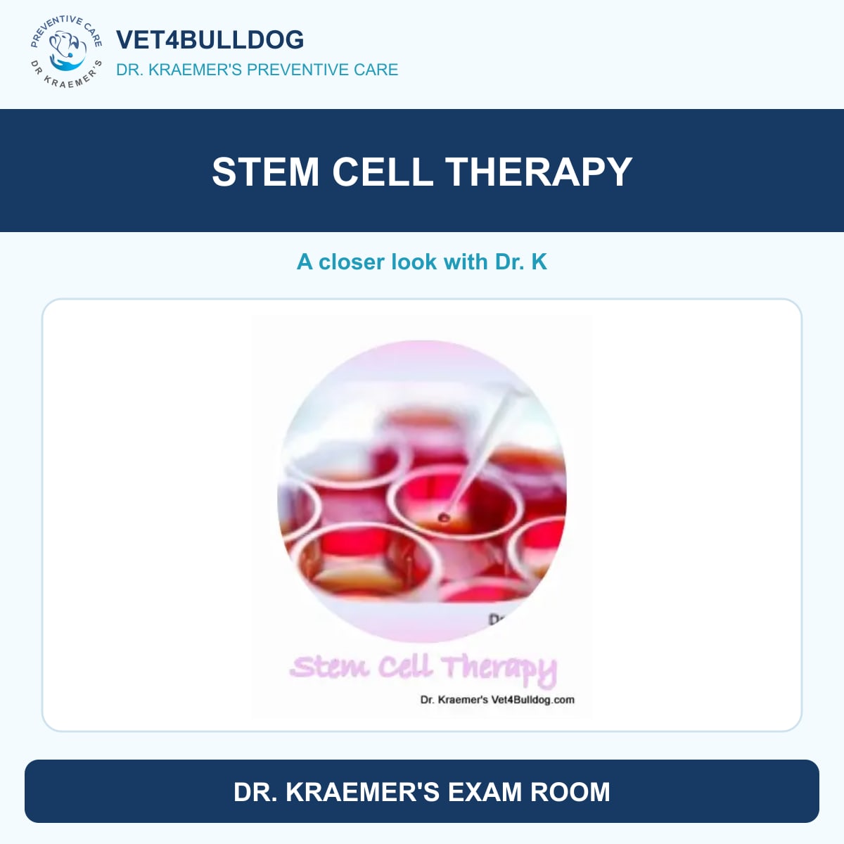 stem cell therapy guide with original Vet4Bulldog clinical imagery