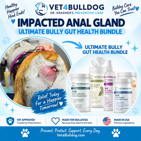 Anal Gland Disease Ultimate bundle