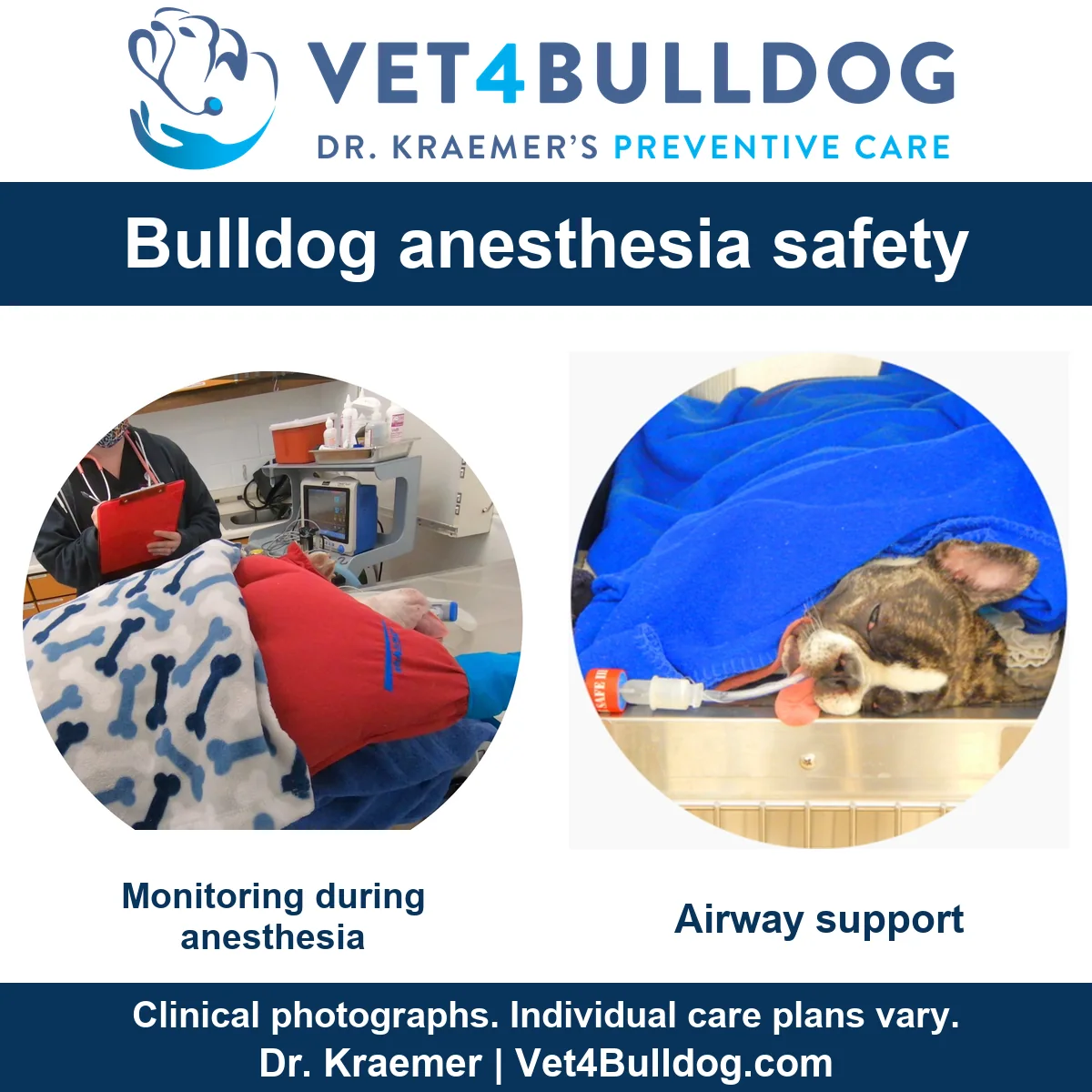 Two original Bulldog anesthesia photographs showing monitoring equipment and an intubated dog under a blue blanket.