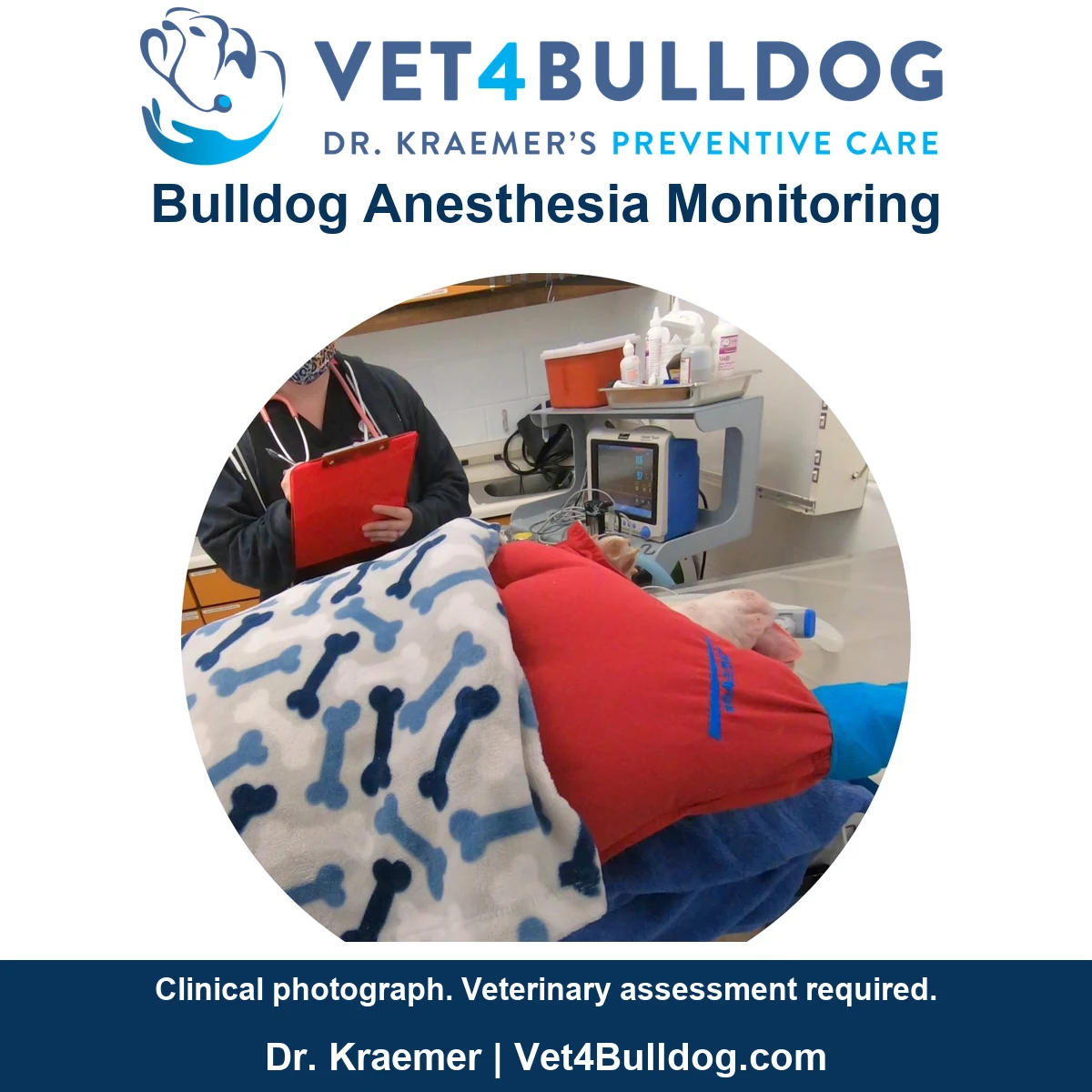 Bulldog under a red warming wrap and bone-pattern blanket beside anesthesia monitoring equipment and a clinician.