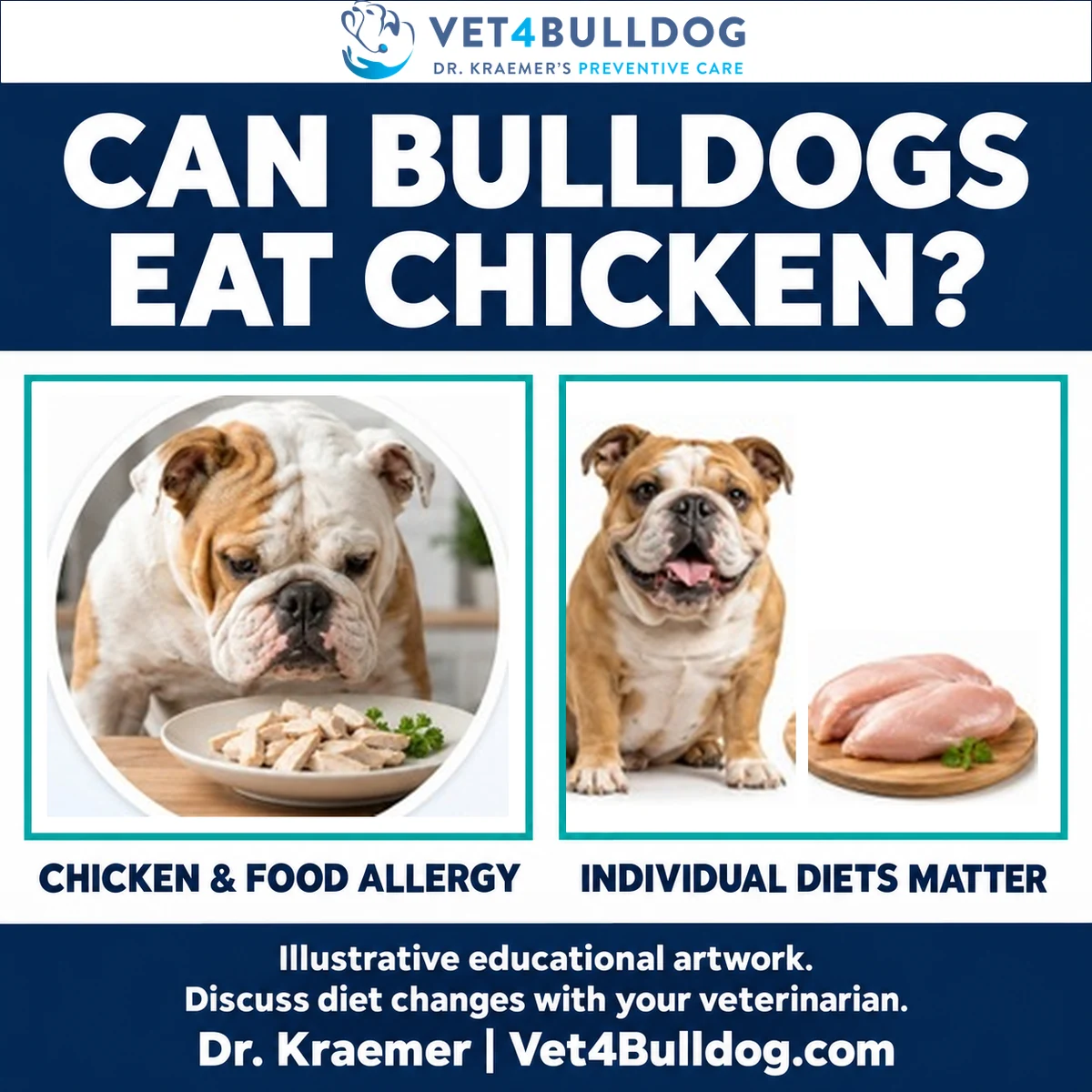 Illustrative Bulldog and chicken food artwork explaining that individual diets require veterinary guidance