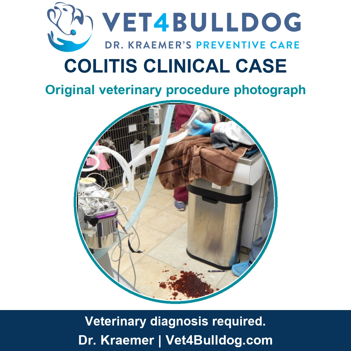 Original veterinary procedure photograph showing equipment, a covered patient table and blood on the floor in the supplied colitis case.