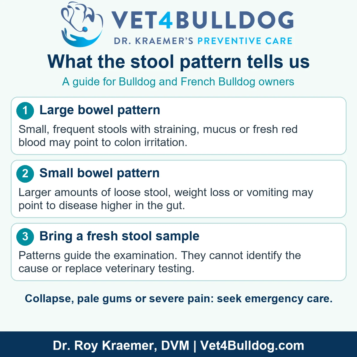 Guide to large bowel and small bowel stool patterns and veterinary stool testing for Bulldog and French Bulldog owners.
