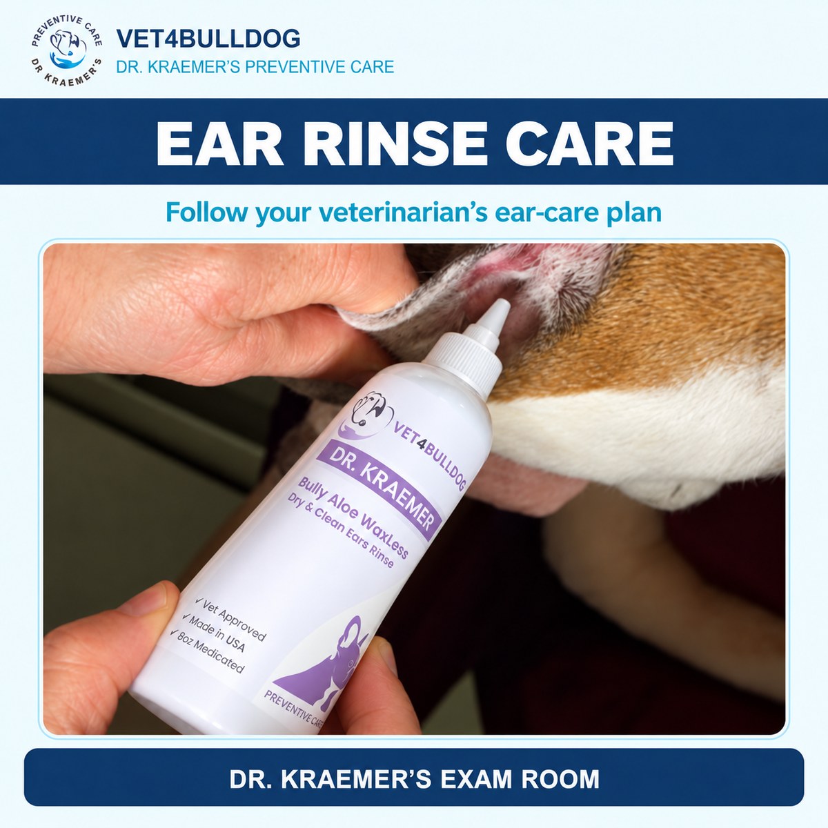 Bulldog ear-care demonstration with the current-label Aloe WaxLess rinse bottle.