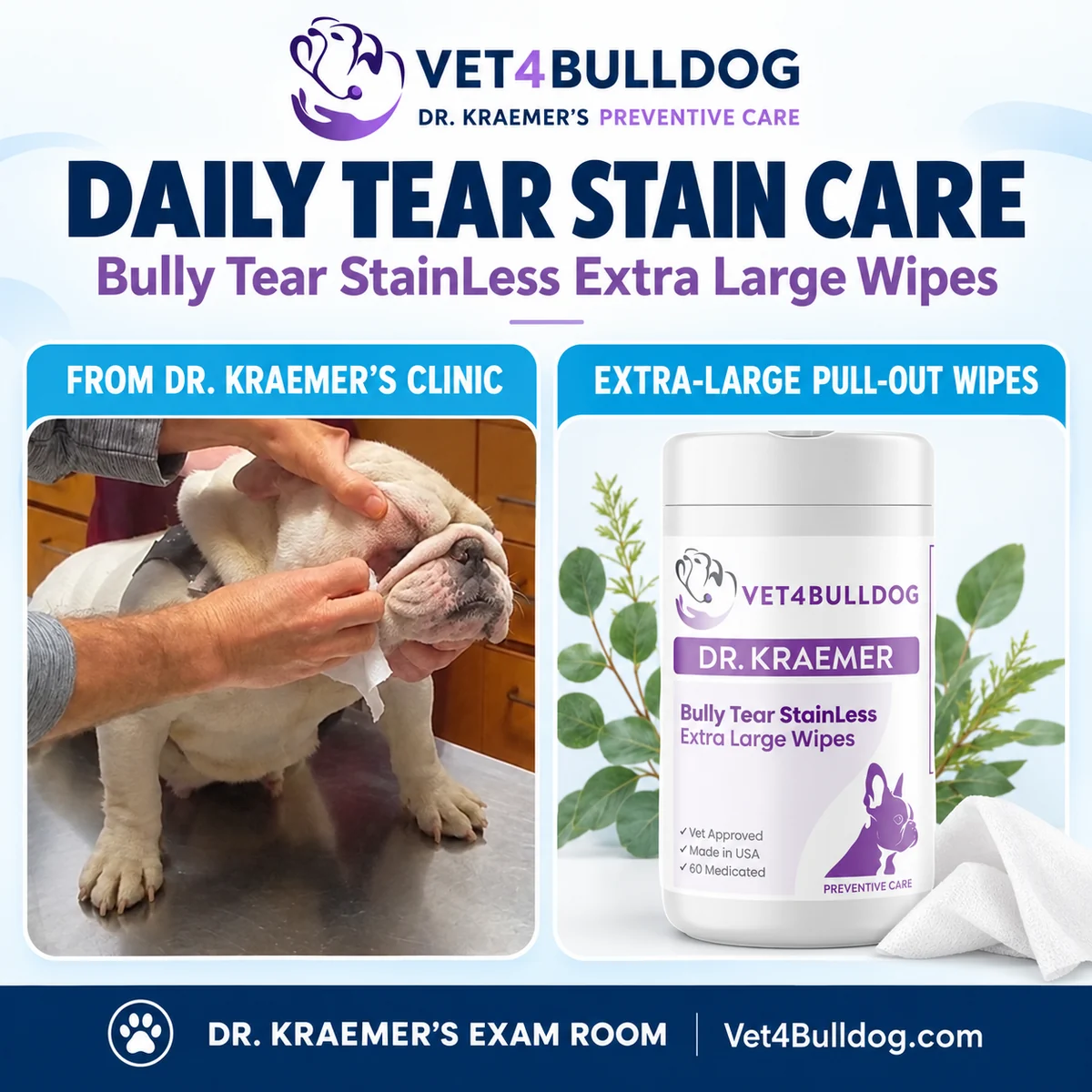 Dr. Kraemer demonstrating daily Bulldog cheek and tear-stain cleansing with Tear StainLess XL wipes