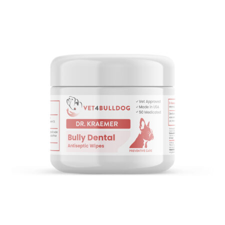 Bully Teeth & Gums Antiseptic Dental Wipe — product container, front label