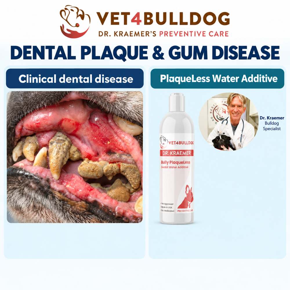 Dr. Kraemer, Bulldog specialist, with Bully PlaqueLess Dental Water Additive and a clinical dental disease photograph