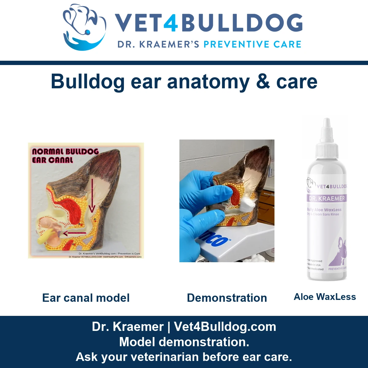 Original ear canal model and blue-gloved cleaning demonstration beside the current Bully Aloe WaxLess rinse bottle.