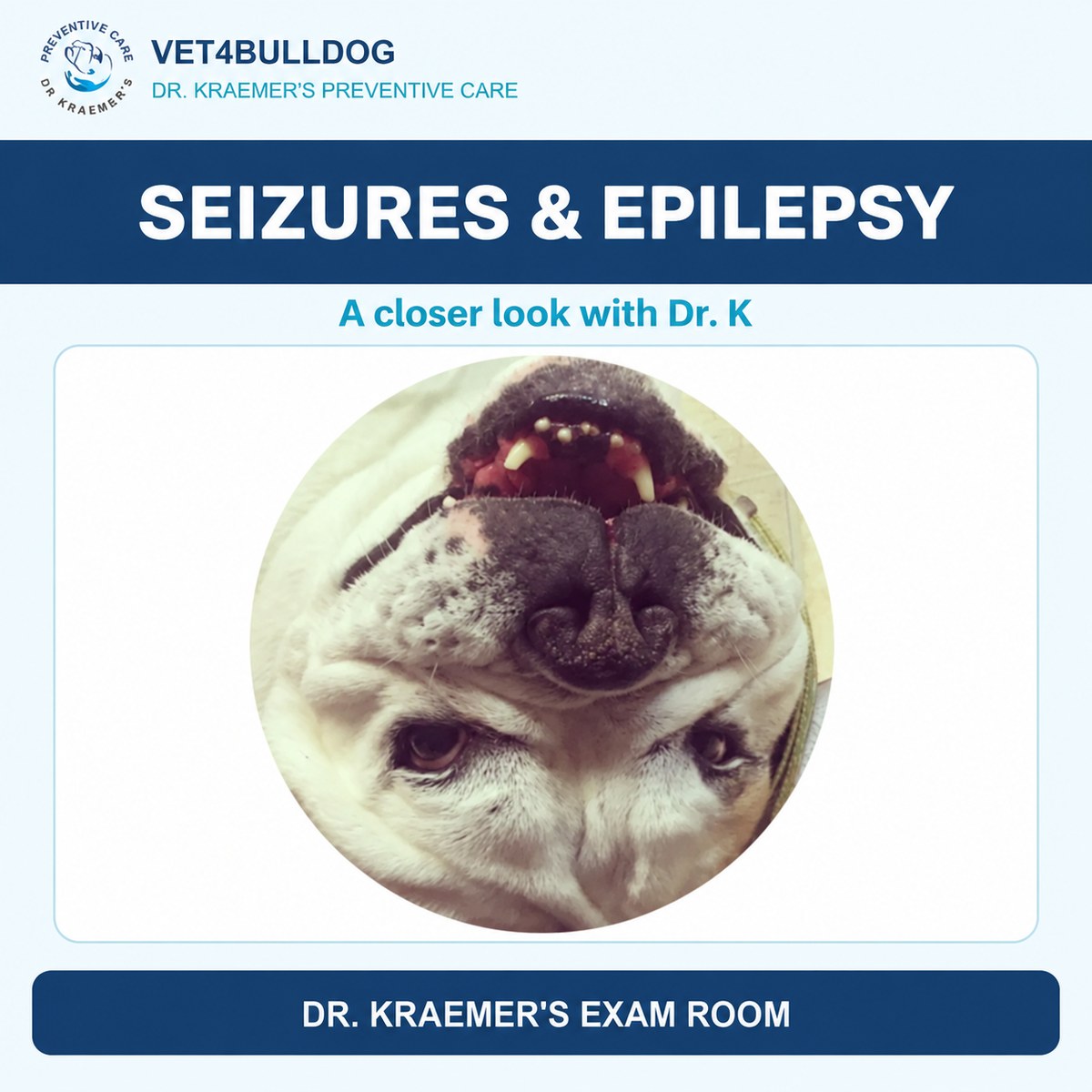 Bulldog patient pictured in Dr. Kraemer’s epilepsy guide