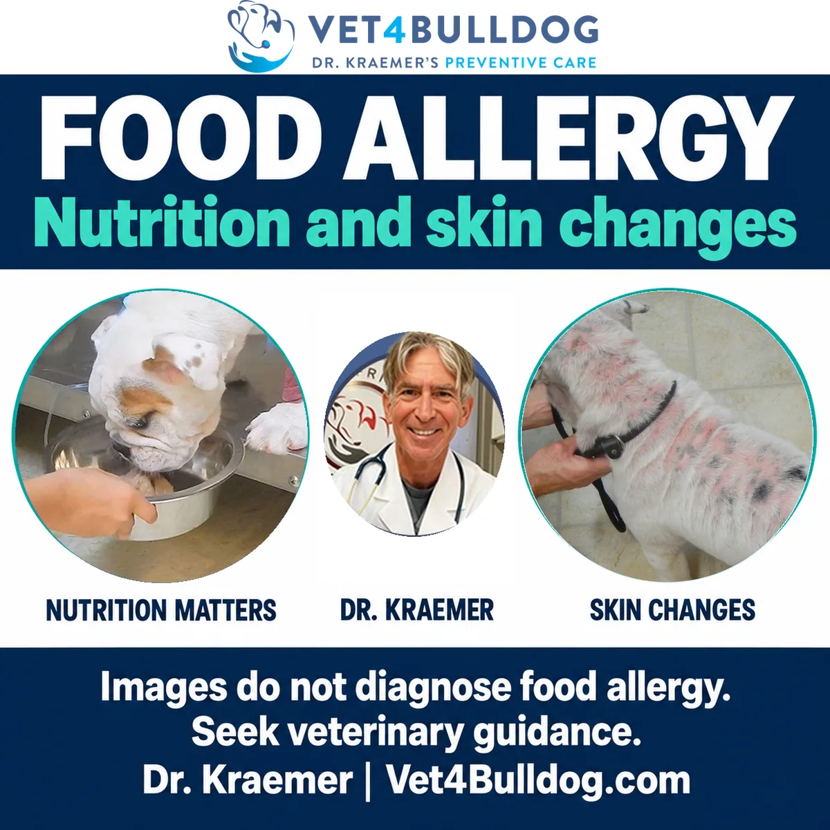 Bulldog eating from a bowl, Dr. Kraemer portrait, and a separate dog showing skin changes