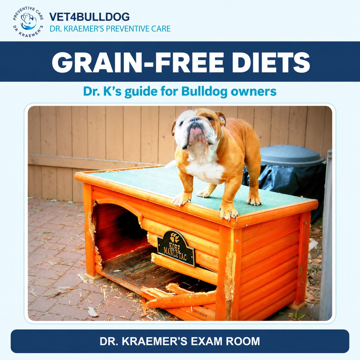 English Bulldog standing on a wooden doghouse in Dr. Kraemer’s diet guide