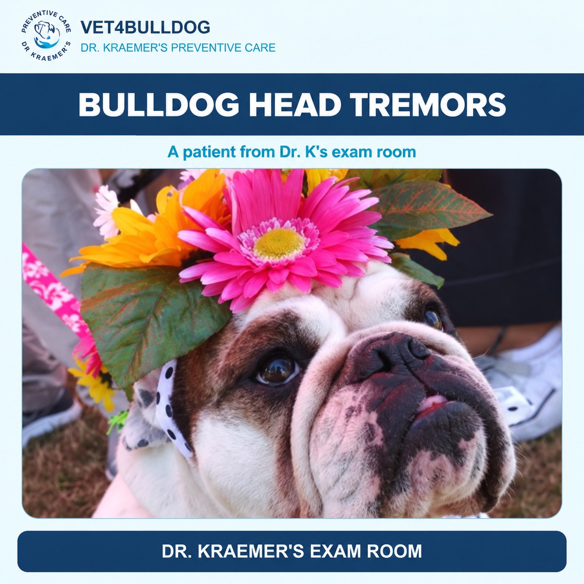 Bulldog patient wearing a flower headpiece in Dr. Kraemer’s head tremor guide