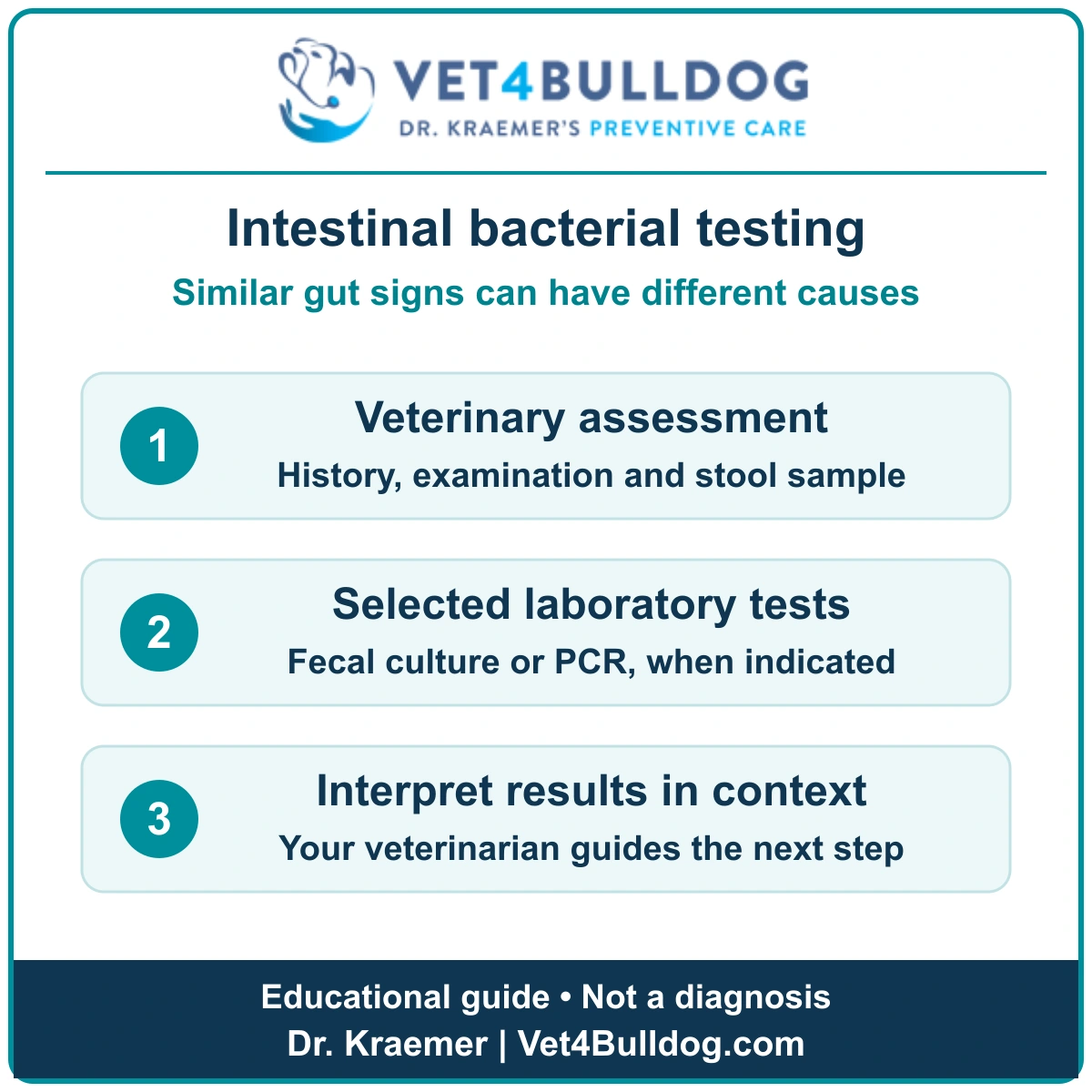 Educational guide to veterinary assessment, selected fecal culture or PCR testing, and clinical interpretation for intestinal bacterial disease.