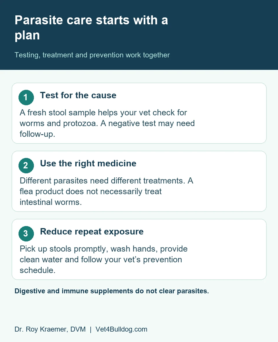 Parasite care plan: stool testing, parasite-specific treatment and reducing repeat exposure