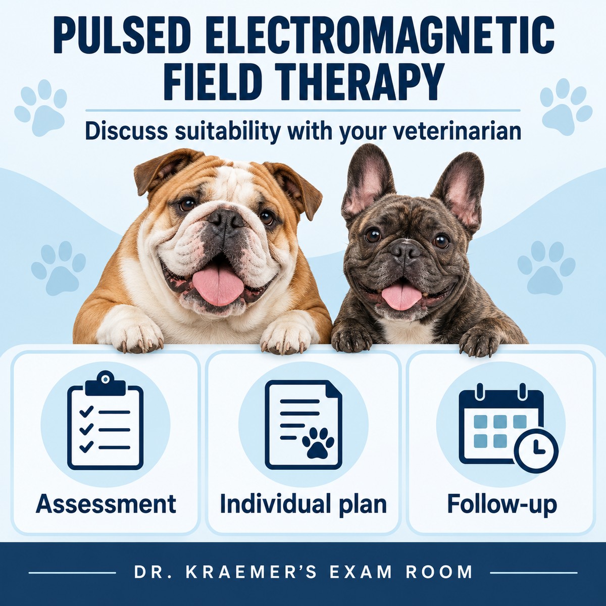 Conceptual pulsed electromagnetic field therapy overview: discuss assessment, an individual plan and follow-up with your veterinarian