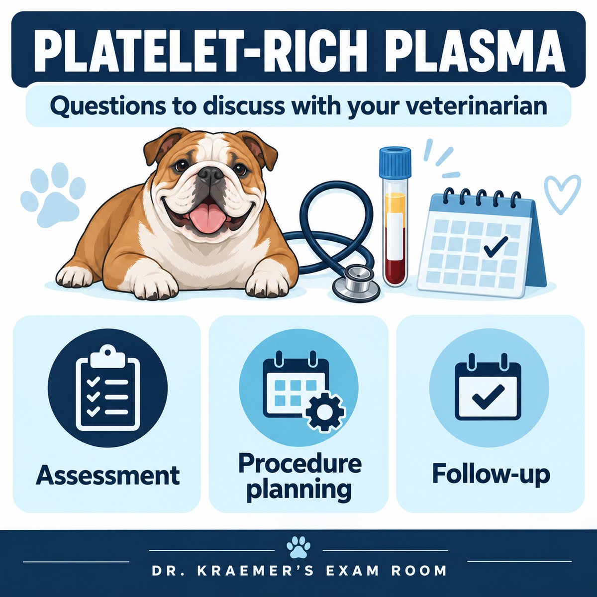 Conceptual platelet-rich plasma overview: veterinary assessment, procedure planning and follow-up