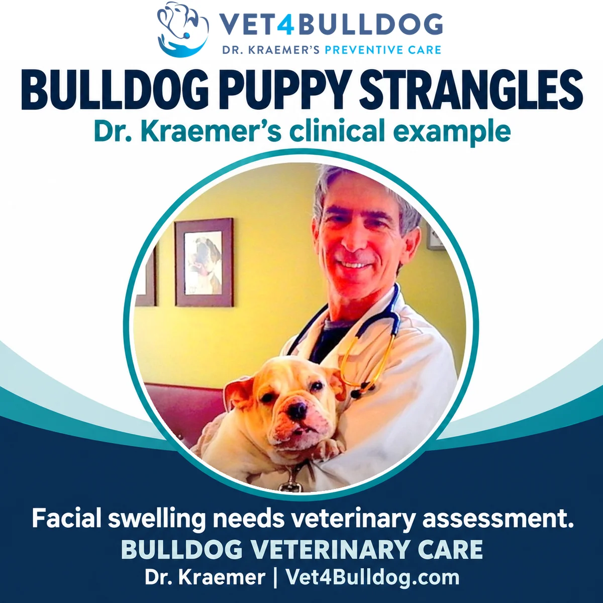 Original photograph of Dr. Kraemer holding a Bulldog during a clinical puppy-strangles examination.
