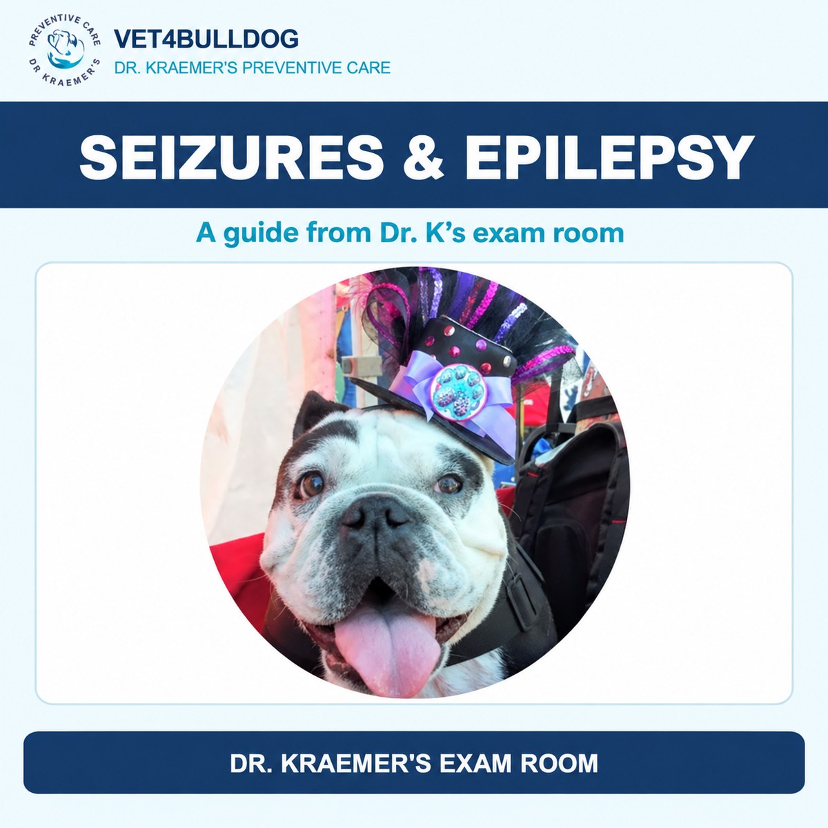 Bulldog portrait in Dr. Kraemer’s seizures and epilepsy guide