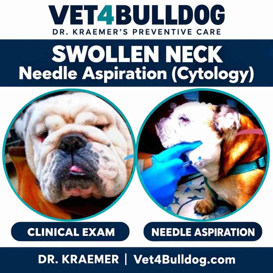Original Bulldog neck examination and needle-aspiration photographs.