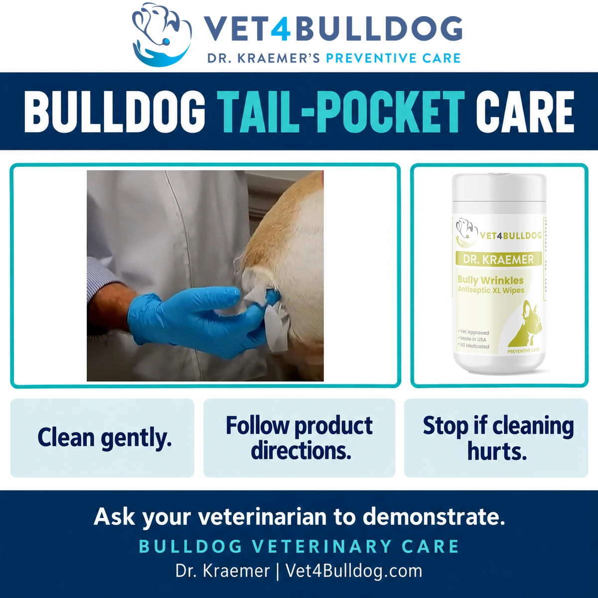 Blue-gloved hand gently wiping a Bulldog tail pocket beside the current antiseptic XL wipes canister.