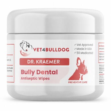 Bully Dental Antiseptic Wipes, 50-count jar, close-up front view on white background.
