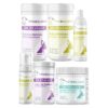 Dr. Kraemer’s Bully Skin Folds Antiseptic ULTIMATE Bundle, current Vet4Bulldog products in a closeup bundle packshot