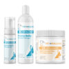 Bully Skin Infection Pyoderma Basic with Yeasty Bully Antiseptic No-Rinse Medicated Gel, Yeasty Bully Antiseptic Shampoo, Bulldog Immune Support Plus Chews on a white background.