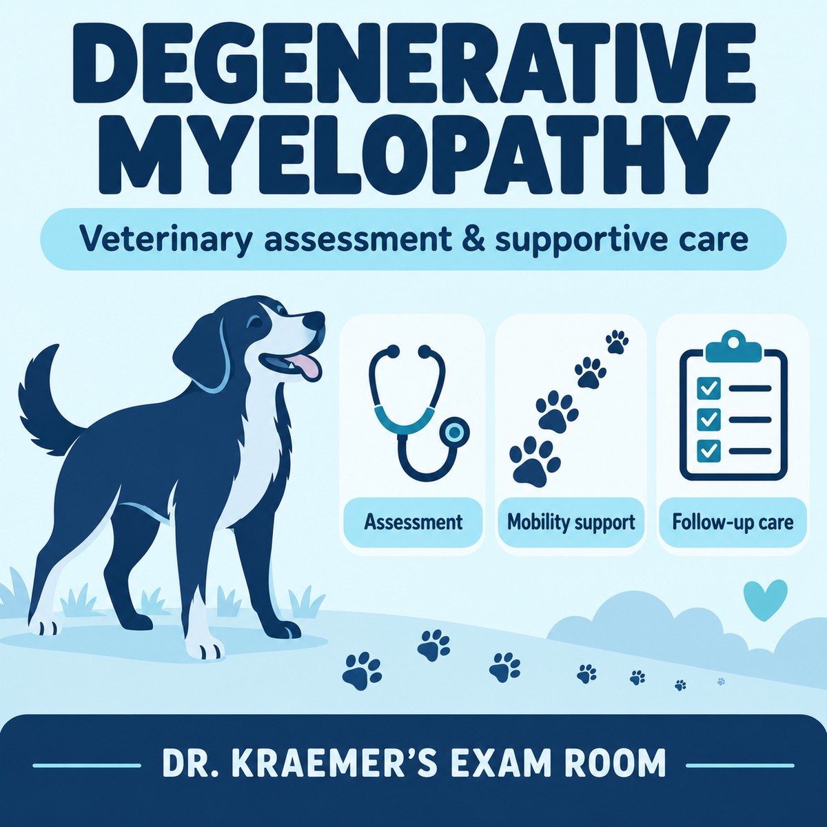 Conceptual degenerative myelopathy overview: veterinary assessment, mobility support and follow-up care