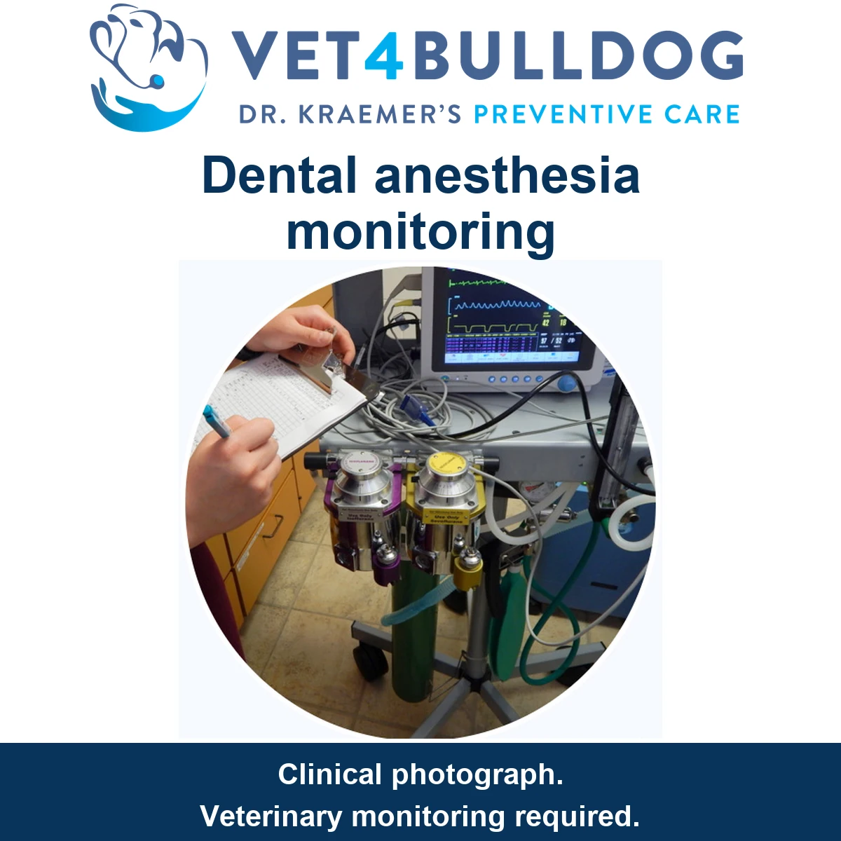 Veterinary anesthesia equipment with dual vaporizers, a monitoring screen and a handwritten observation sheet.