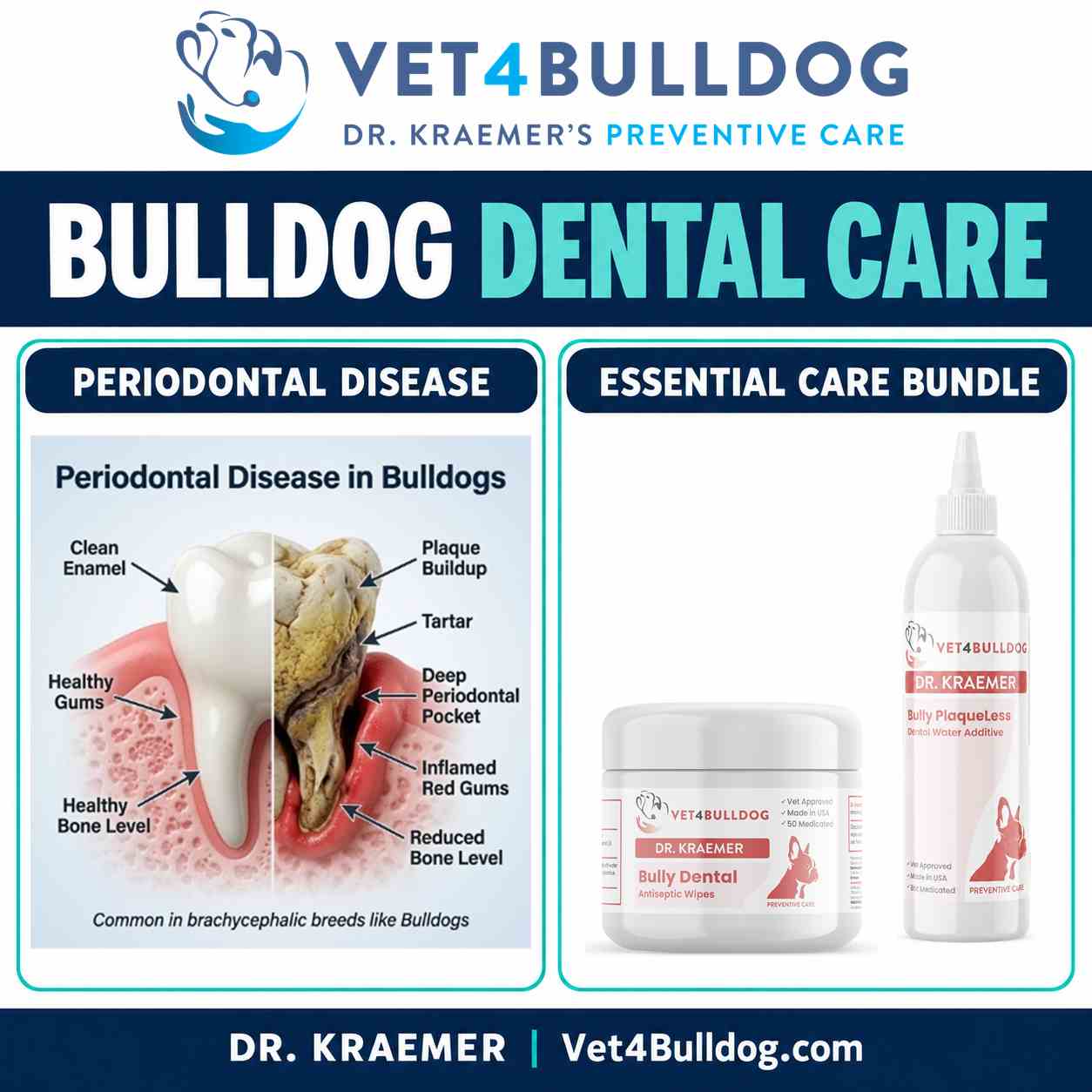 Original labeled periodontal illustration beside Vet4Bulldog dental wipes and PlaqueLess rinse with a white pointed tip.
