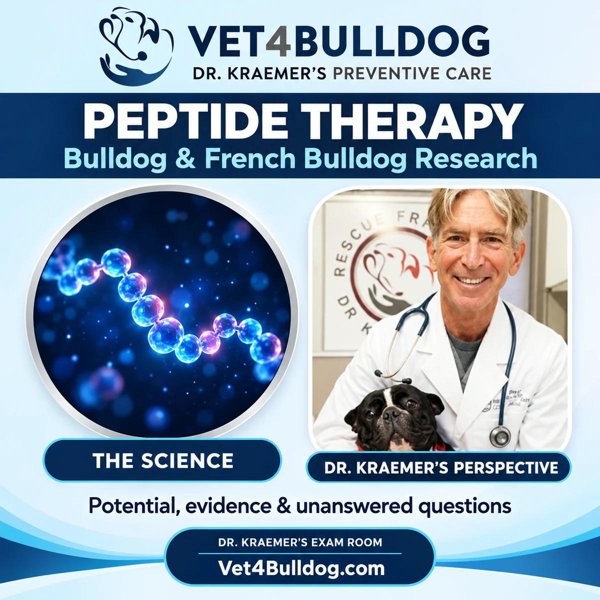 Dr. Kraemer’s perspective on peptide research for Bulldogs and French Bulldogs