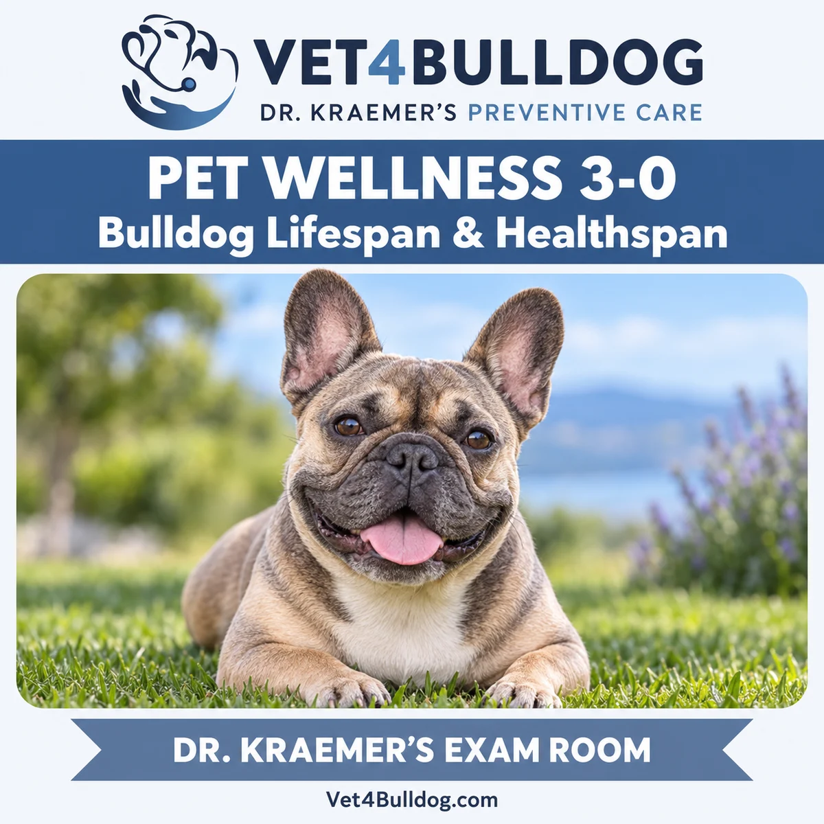 Pet Wellness 3-0: Bulldog lifespan and healthspan