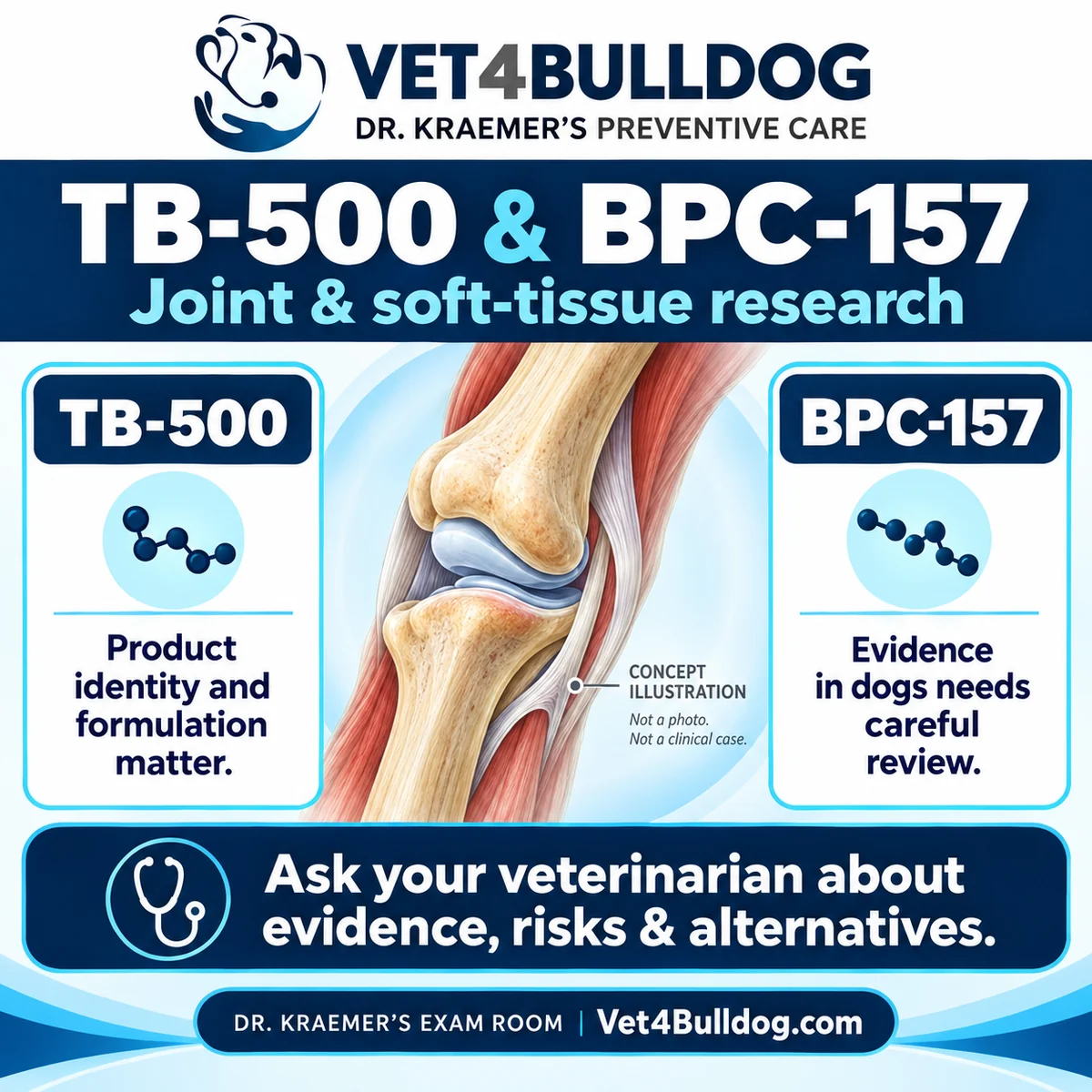 TB-500 and BPC-157 joint research: questions to discuss with your veterinarian
