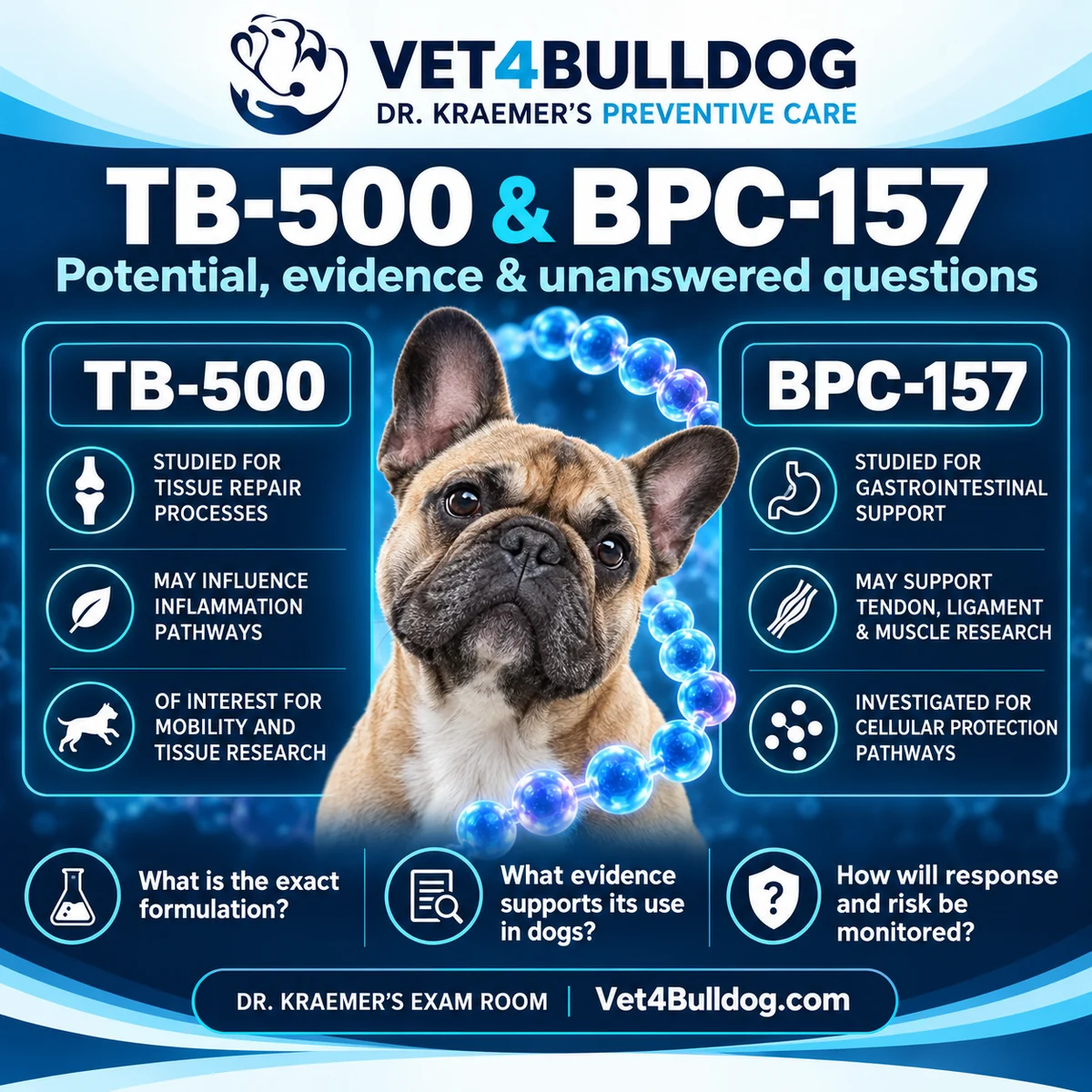 TB-500 and BPC-157 research and questions to discuss with your veterinarian