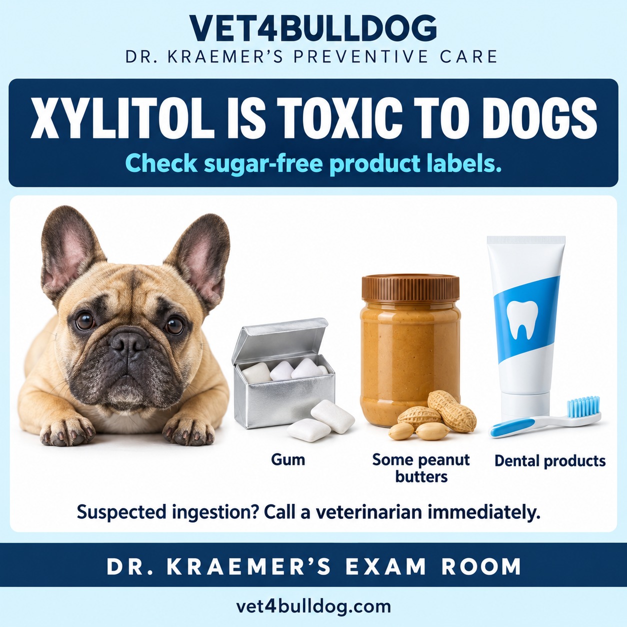 Xylitol is toxic to dogs: check sugar-free labels and call a veterinarian for suspected ingestion